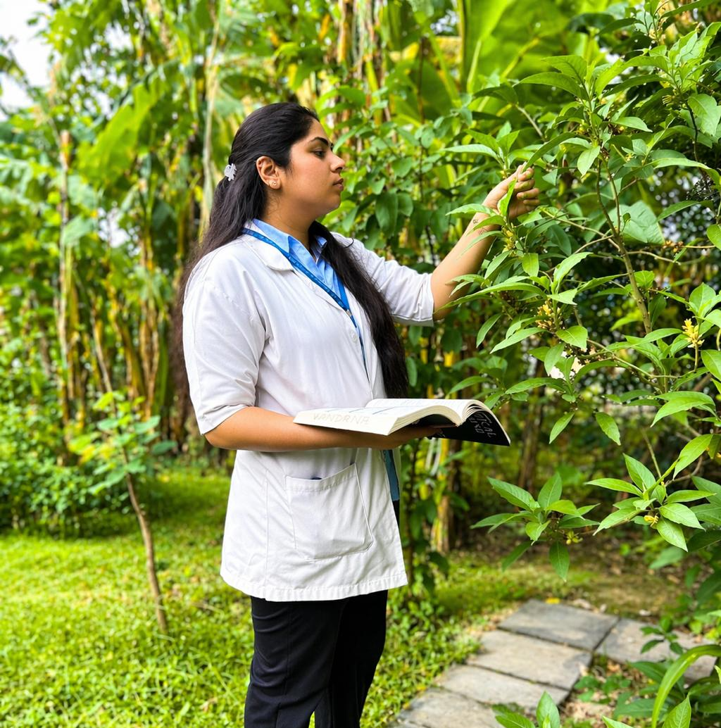 HERBAL GARDEN view 2